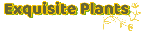 Exquisite Plants
