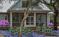 Snow Globe Gardenia - 1 Gallon Pot -Exquisite Plants gardenia jasminoides snow globe 2 1