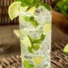 Mojito Mint Plant - 6 Pack Of Pint Pots -Exquisite Plants mentha x villosa mojito mint 5