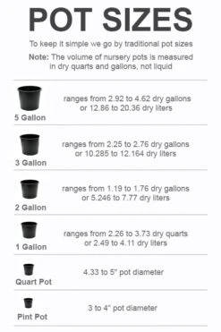 Exquisite Plants -Exquisite Plants pot size chart 2022 6